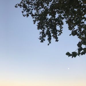 Meet your Posher, Nayeon